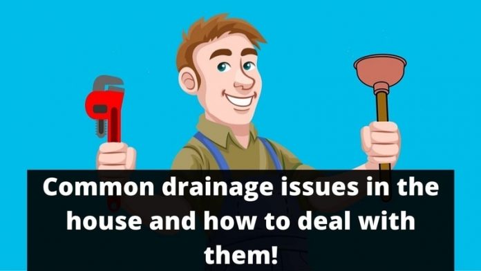 Common Drainage Issues