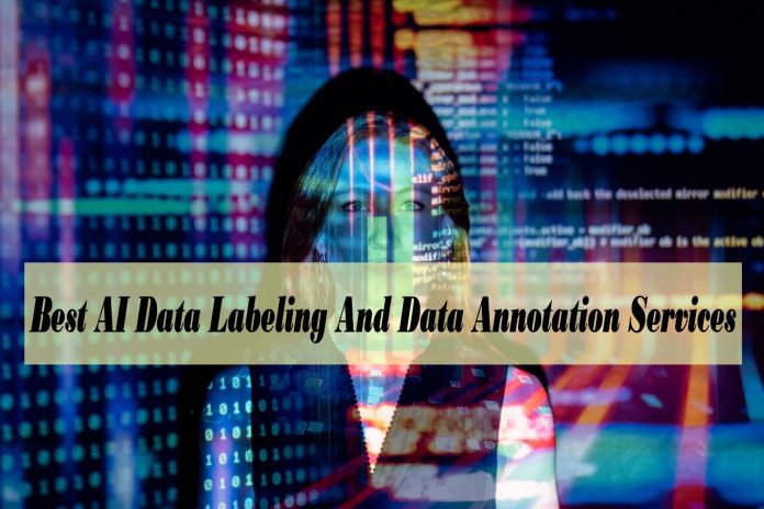 The Ultimate Guide To Choosing The Best AI Data Labeling And Data Annotation Services - data labeling for machine learning