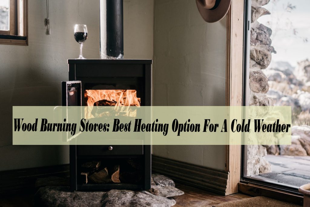 Wood Burning Stoves The Best Heating Option For A Cold Weather - best wood stoves with blowers