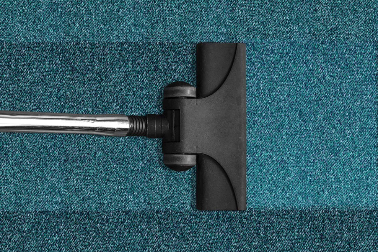 Invest in Vacuuming Services - how to start a vacuum cleaner business