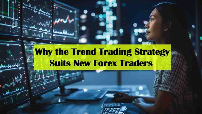 Why the Trend Trading Strategy Suits New Forex Traders - most accurate forex strategy