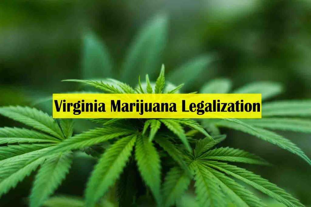 Everything You Need to Know About Virginia Marijuana Legalization - virginia dispensaries recreational