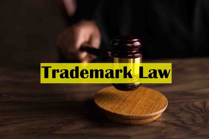 The Basics Of Trademark Law - trademark law pdf