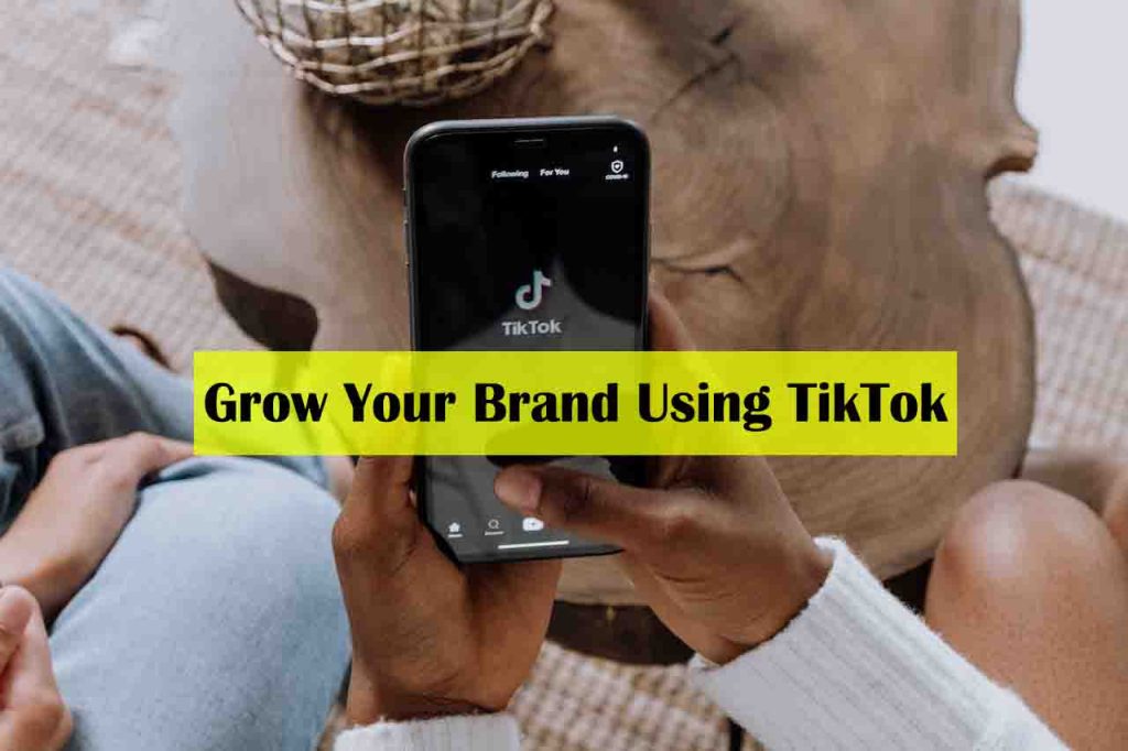 Trollishly 6 Brilliant Tactics to Grow Your Brand Using TikTok