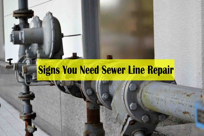 5 Signs You Need Sewer Line Repair - signs of sewer line failure