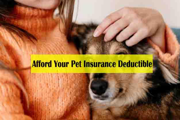 How to Afford Your Pet Insurance Deductible - pet insurance deductible reddit