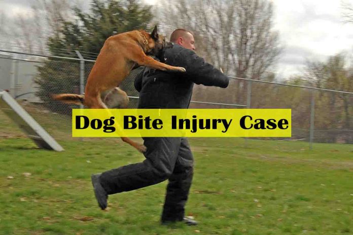 The Potential Defenses the Defendant May Use in a Dog Bite Injury Case