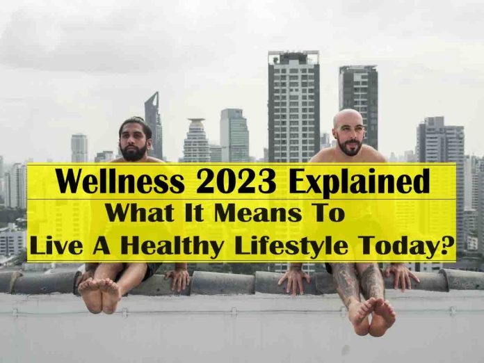 Wellness 2023 Explained: What It Means To Live A Healthy Lifestyle Today? - what is healthy lifestyle definition pdf