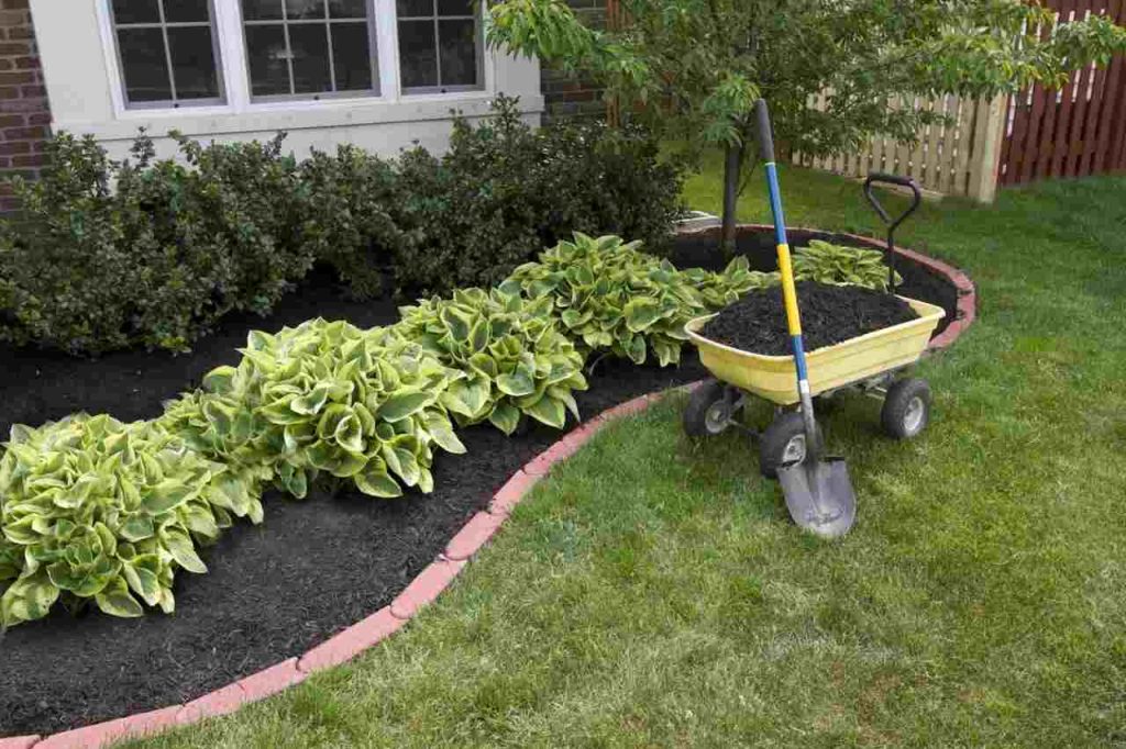 10 Things You Should Know About Your Front Lawn and Landscaping - 3 general steps of landscaping