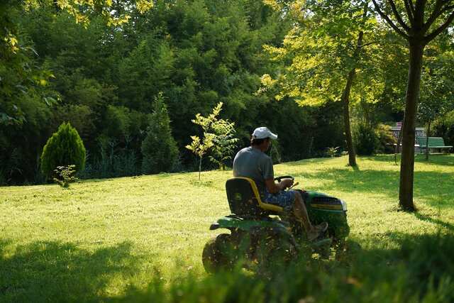Maintain Regular Lawn Care Practices - grass maintenance schedule