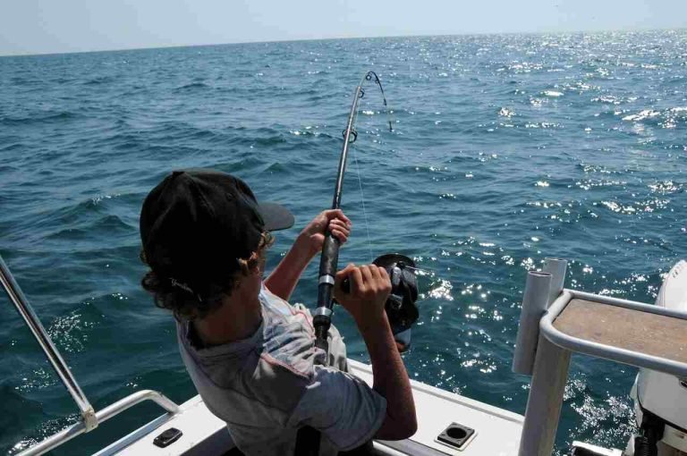The Reasons Why Fishing Is Growing In Popularity All Across Australia The Reasons Why Fishing Is Growing In Popularity All Across Australia - disadvantages of fish farming