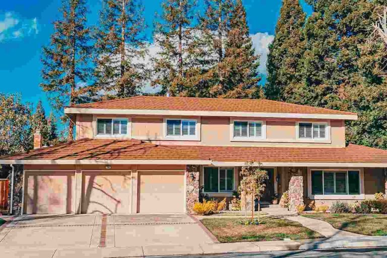 The Importance of Attic Mold Remediation for Your Home’s Health The Importance of Attic Mold Remediation for Your Home's Health