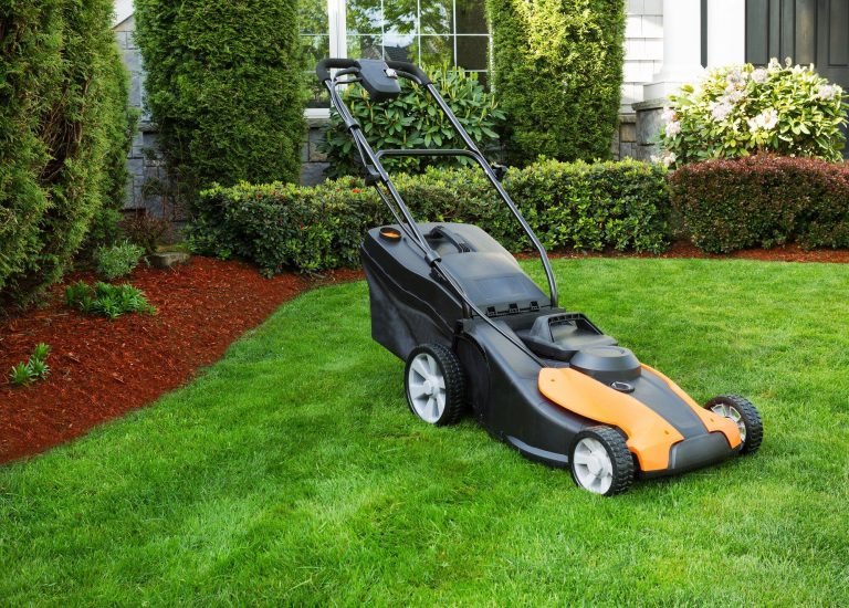 How to Save Money Without Sacrificing Quality With Affordable Lawn Care