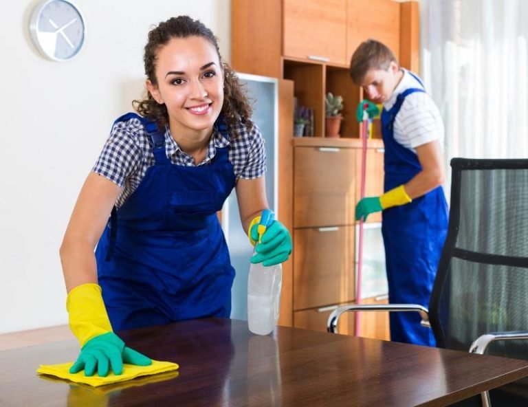 Why Hiring a Professional Cleaner is Worth the Investment Hiring a Professional Cleaner