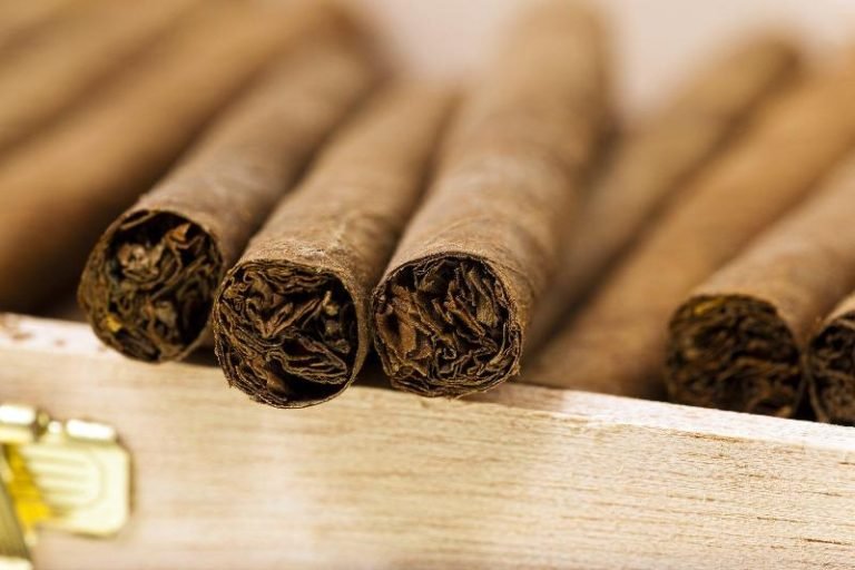 A Beginner’s Guide to the Best Cigar Brands on the Market