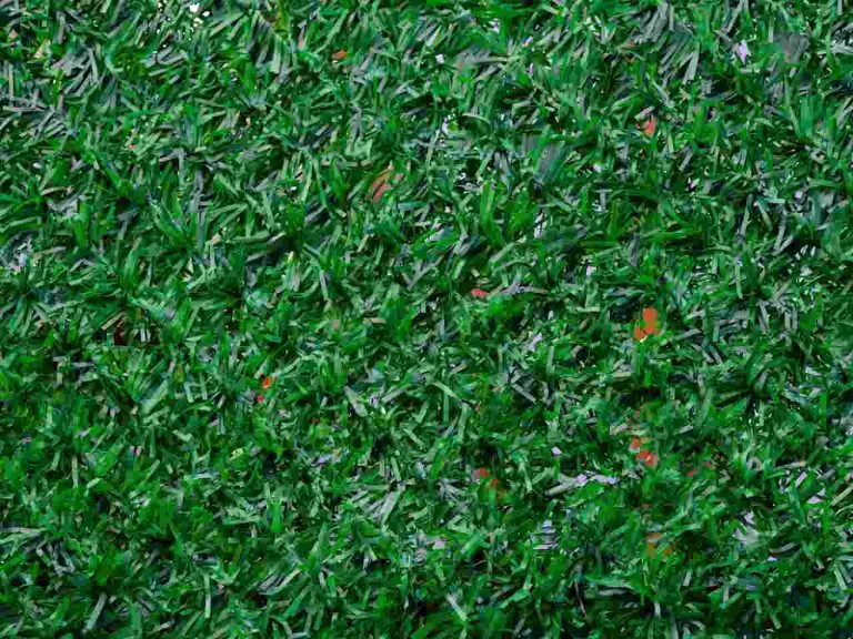 Great Reasons for an Australian Home to Install a Synthetic Grass Lawn Great Reasons for an Australian Home to Install a Synthetic Grass Lawn