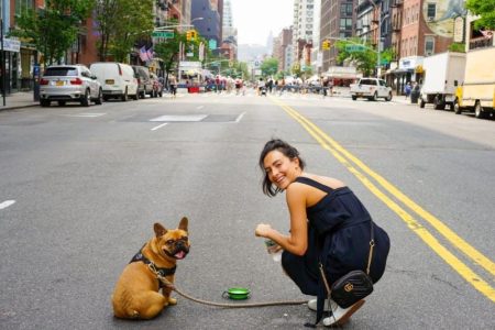 Dog Parents Traveling