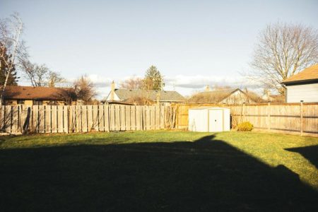 Why These Top 3 Materials Are Perfect for Backyard Tall Privacy Fence