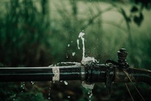 How Leak Detection Services Help Conserve Water and Lower Bills