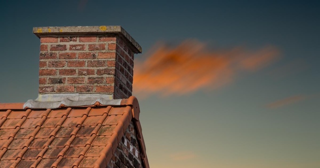 Impact of Squirrels on Roofs in Cold Months