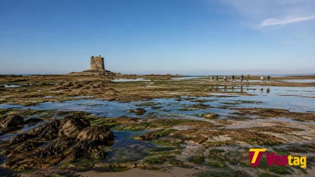 Seymour Tower Jersey across the intertidal landscape at low tide