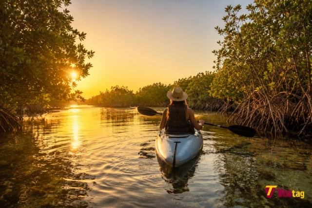 Traveler kayaking through Abu Dhabi mangroves at golden hour