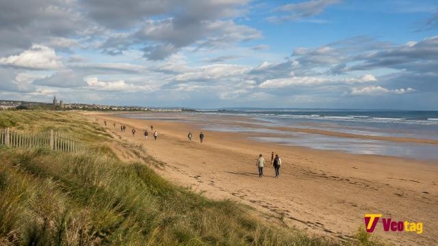West Sands Beach St Andrews with sandy shoreline, dunes and North Sea views